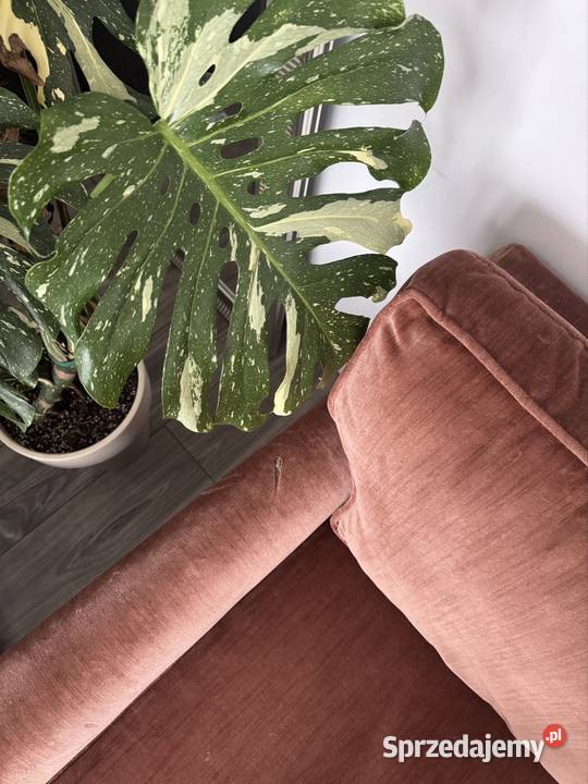 Vintage Sofa i trzy fotele Łomianki Dolne