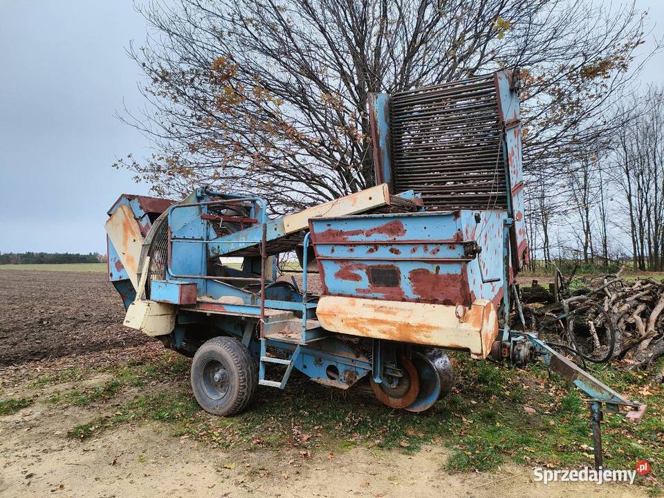 Kombajn ziemniaczany Anna Z644 wielkopolskie Opatówek