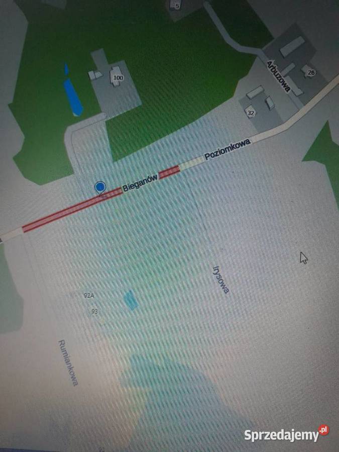 Bieganów Poziomkowa