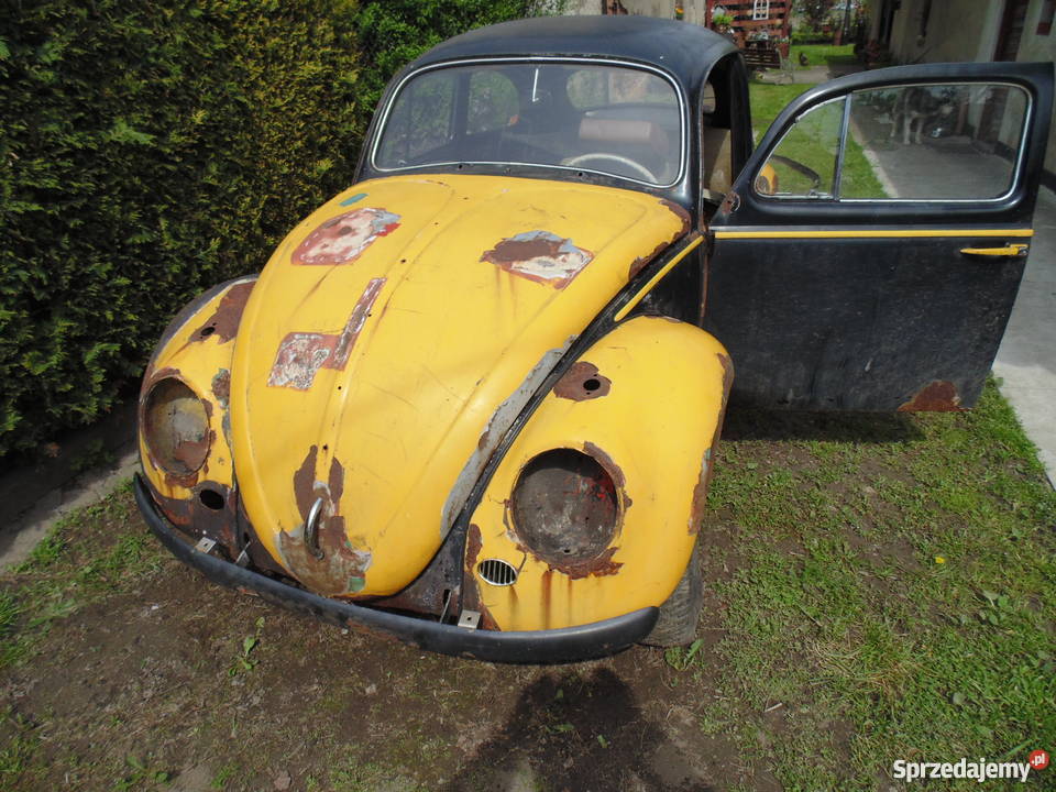 garbus dziadek 61 Nysa