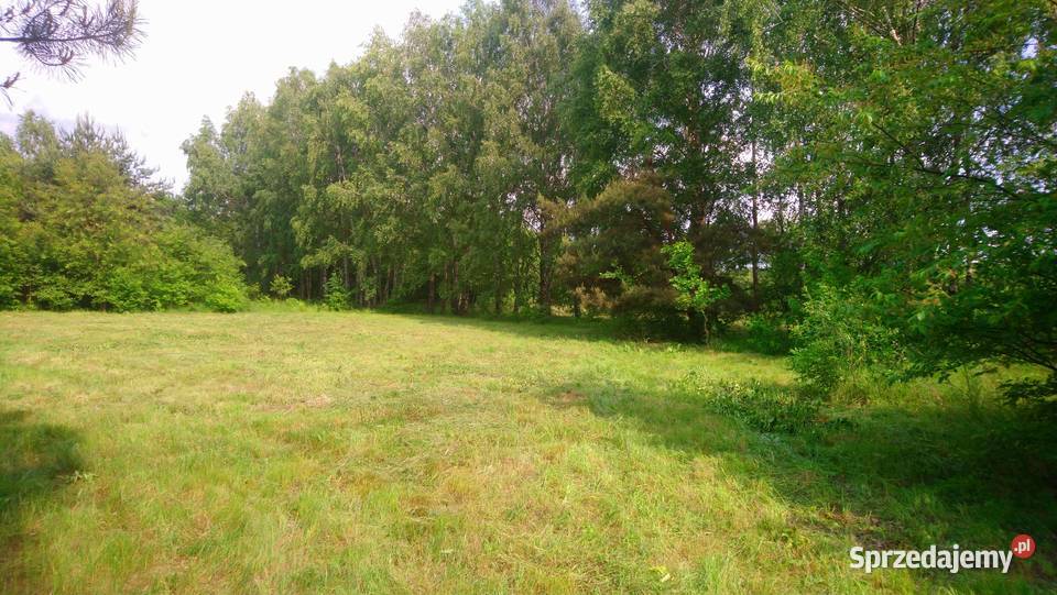 Sprzedam działkę 4828m2 Wkrą z prawem zabudowy 94zł/m2 Popielżyn-Zawady sprzedam