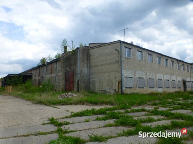 Syndyk sprzeda cegielnię warmińsko-mazurskie Plenowo