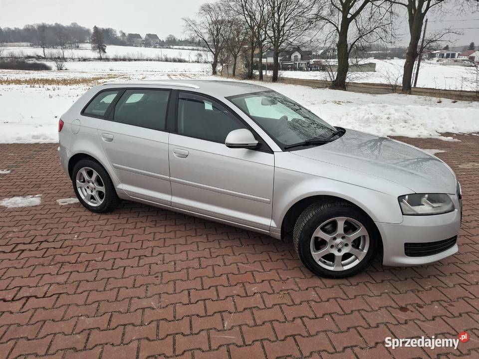 Audi a3 16 MPI 102 SerwisBezwypadekZadbany Pawłów