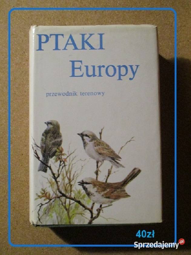 Ptaki Polski JSokołowski ptaki atlas fauna biologia, ekologia łódzkie Łódź
