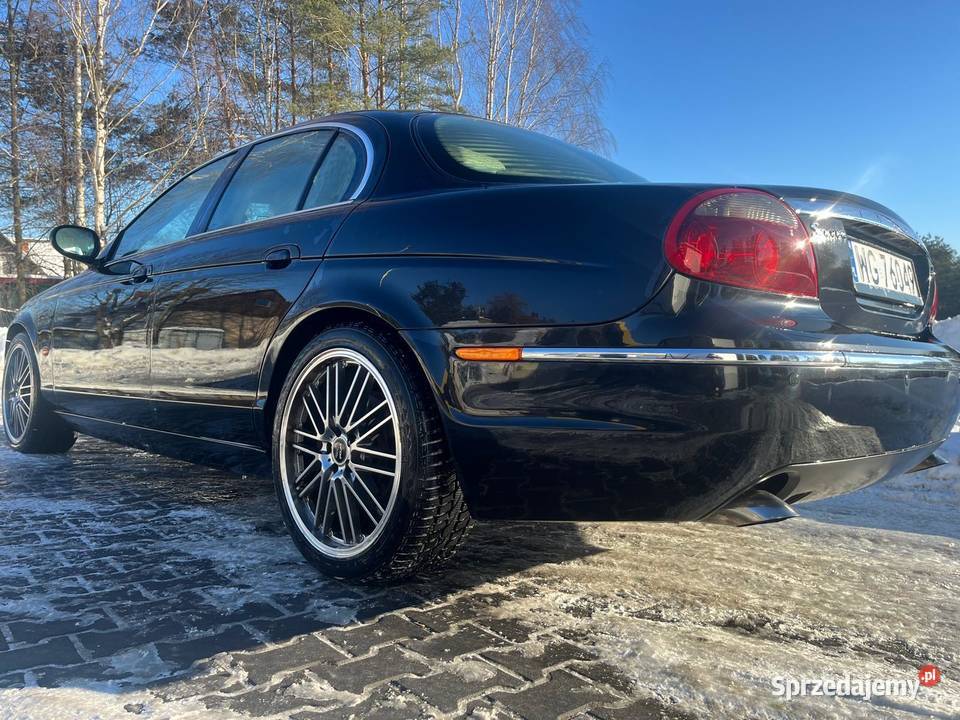 Jaguar stype lubelskie