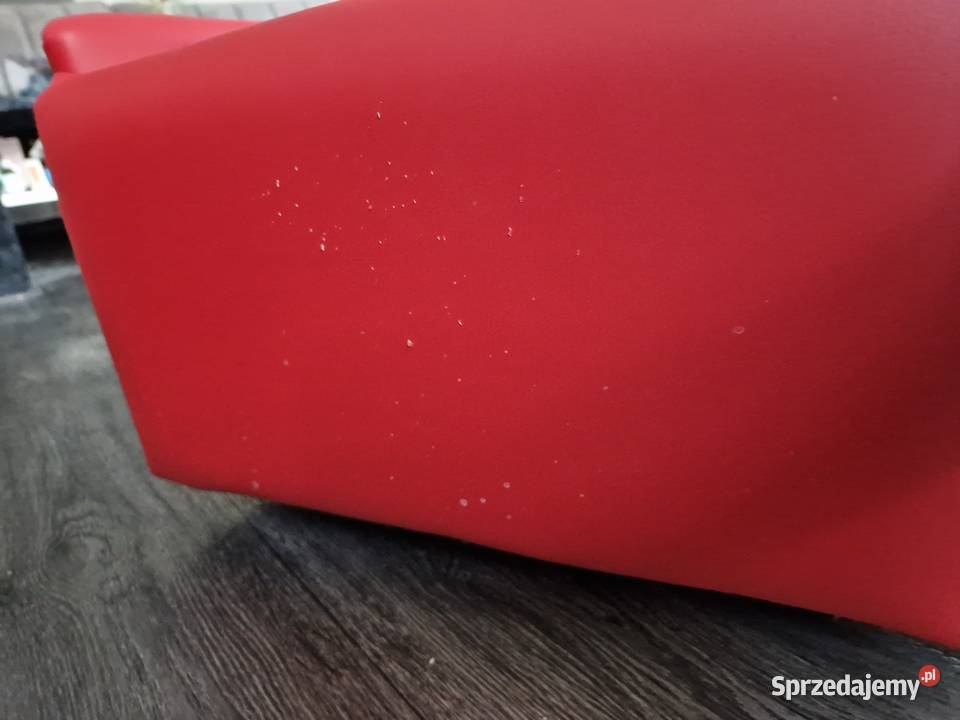 Sofa psa Dla psów
