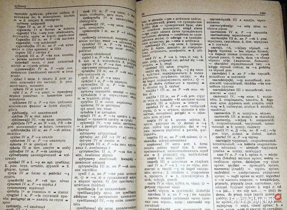 Podręczny słownik polskorosyjski Ryszard Stypuła Chełm sprzedam