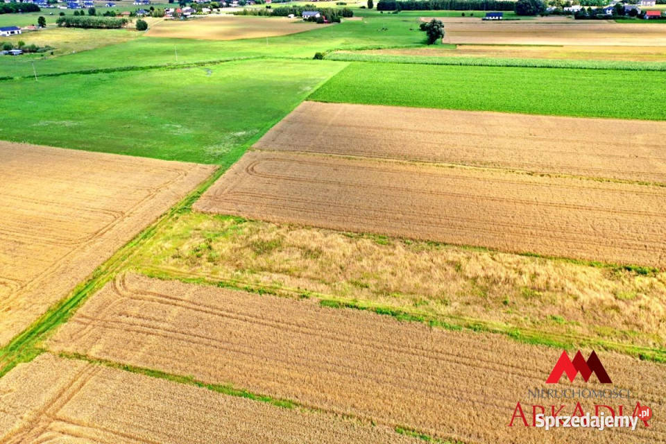sprzedaży działki 1193m2 Grodztwo