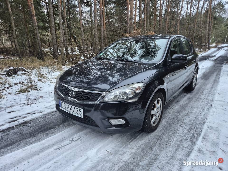 Kia Ceed Lift 14 benzyna 109 146 Super stan 109KM Skierniewice