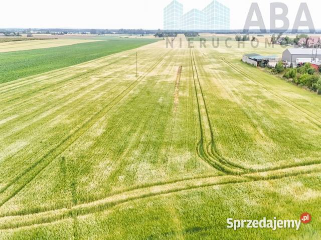 Działki budowlane Sadlnogm Wierzbinek Spokojna Grunty i działki Sadlno sprzedam