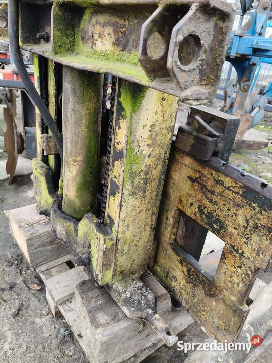 Maszt widłaka nieuszkodzony łódzkie