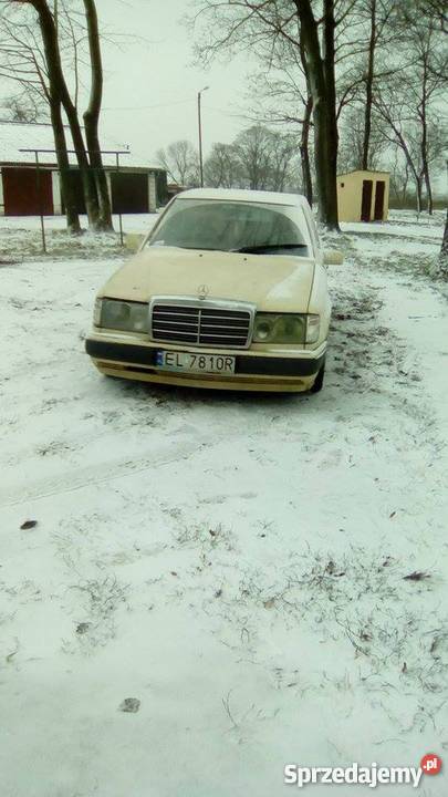 Niezniszczalny Mercedes 124 Weteran dróg nieuszkodzony Przytyk