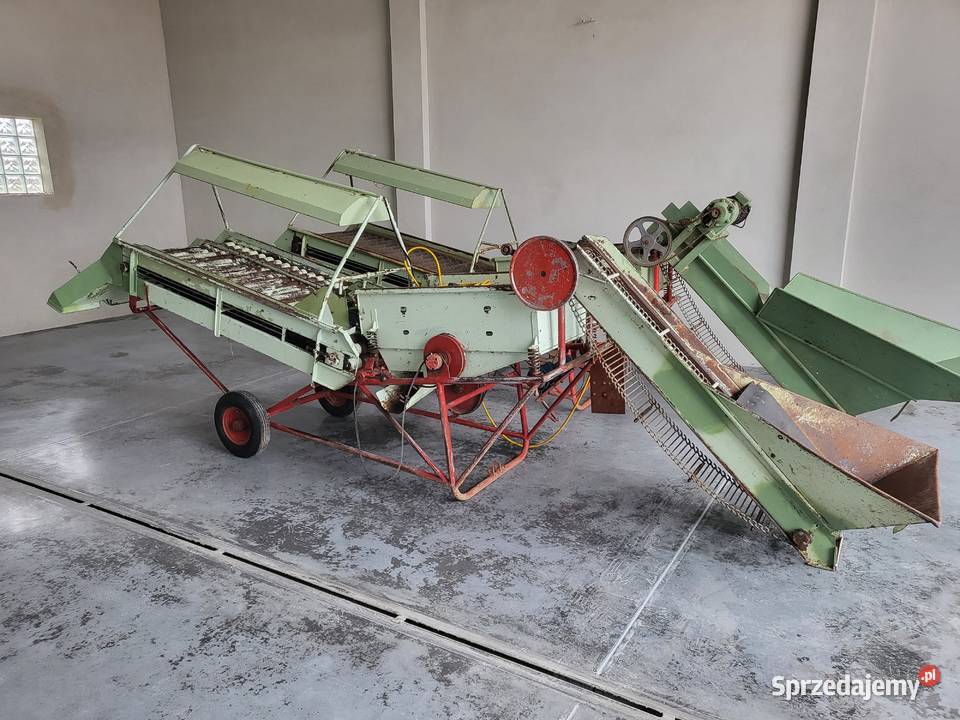 Sortownik do ziemniaków Góra Kalwaria sprzedam