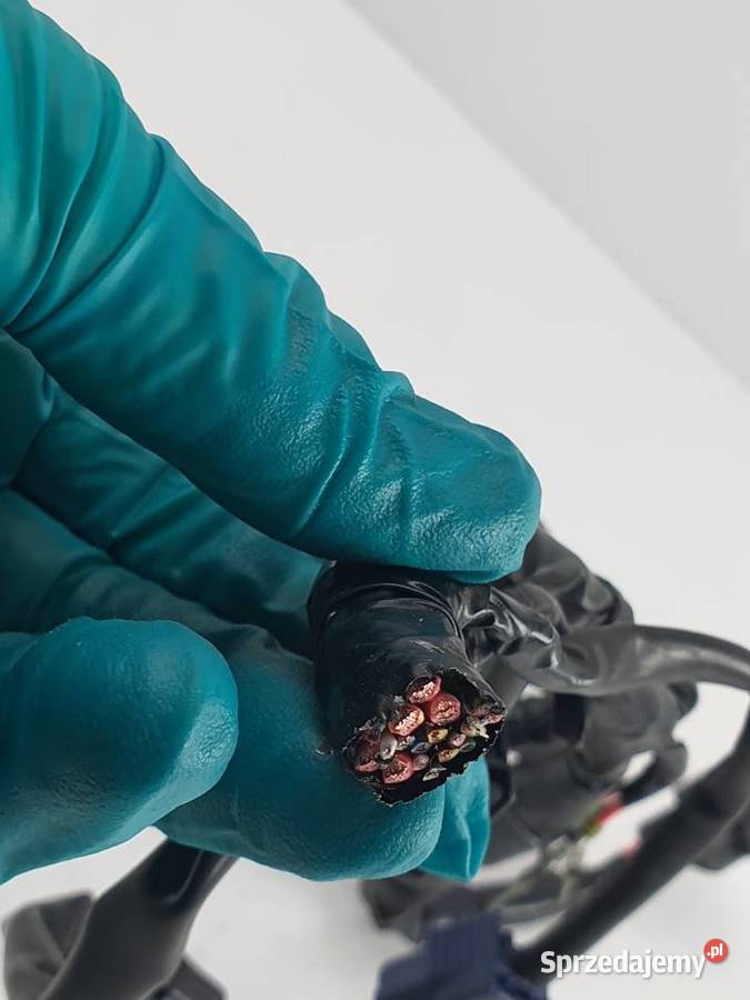 Wiazka Instalacja Wtyczka Kostka Honda Crf 1000 Wiązki elektryczne
