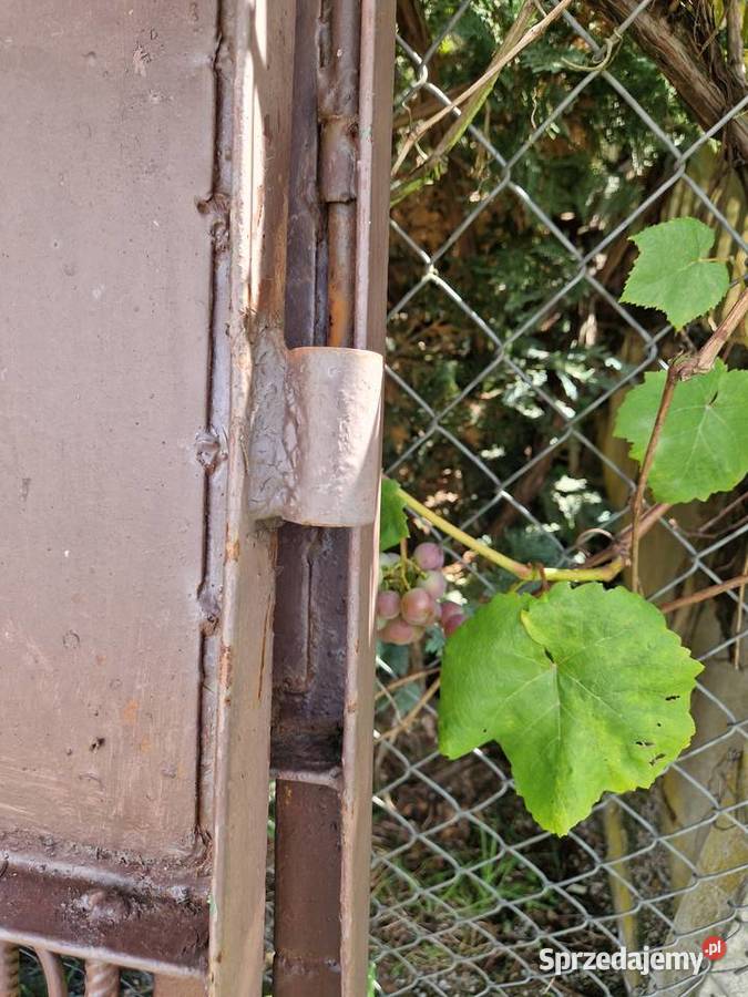 Stara solidna brama Gruby materiał