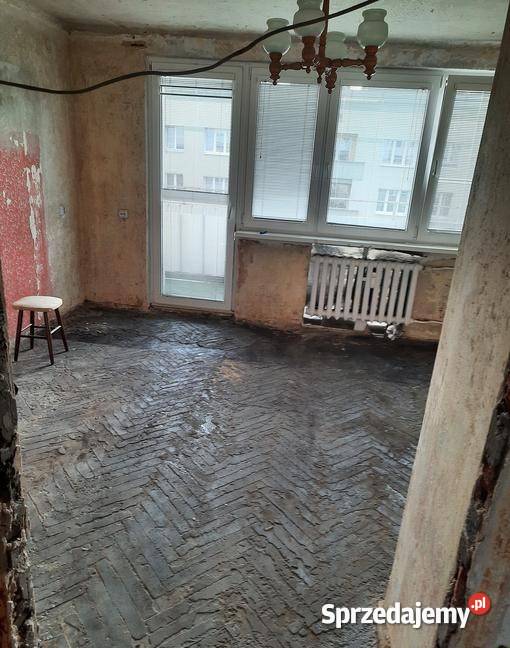 Usługi Porządkowe Ogrodowe i Zabrze