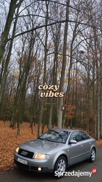 A4 b6 20 fsi 150 lubelskie