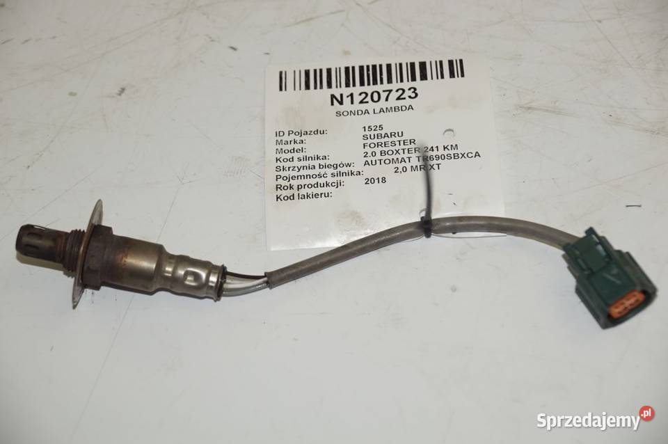 FORESTER XT SONDA LAMBDA Lipno