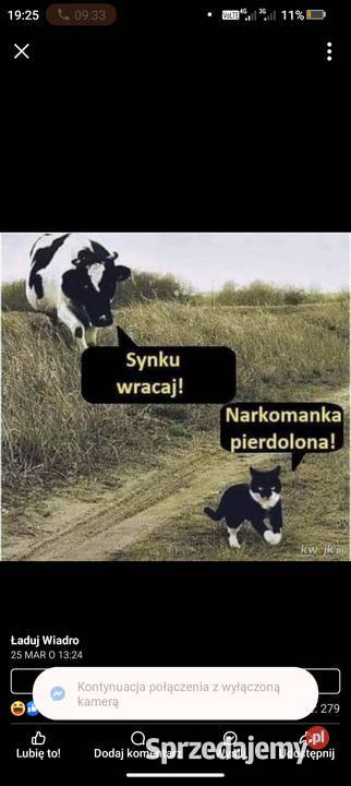 Obornik lubelskie Tomaszów Lubelski