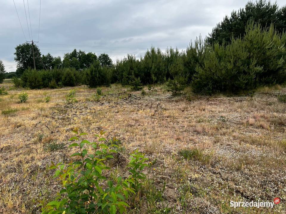 Działka budowlana Łąkie