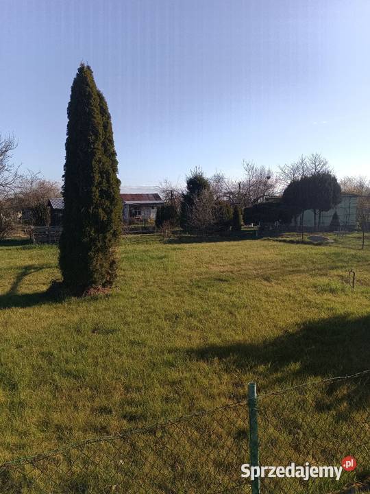 Ogródek dzialkowy Gorzów Wielkopolski