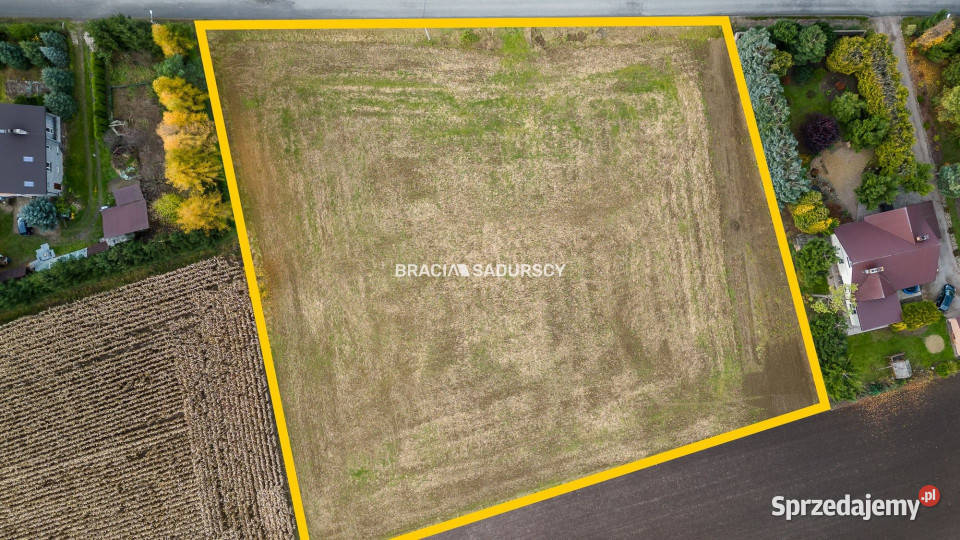 Działka 6500m2 PrandocinIły budowlana Prandocin-Iły sprzedam