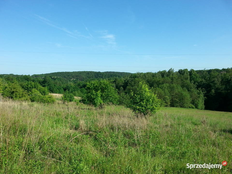 wynajmę działkę pod Krakowem rod p Wieliczka