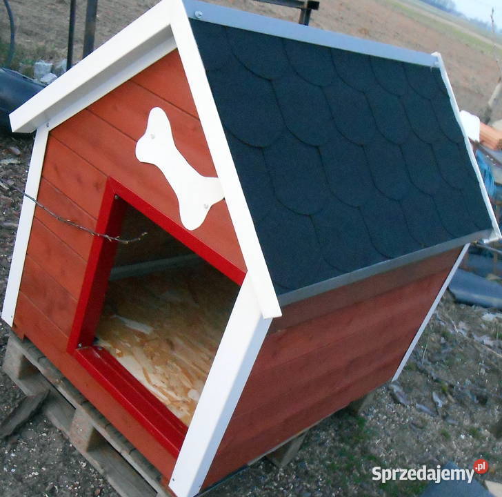 Duża buda psa Dla psów sprzedam