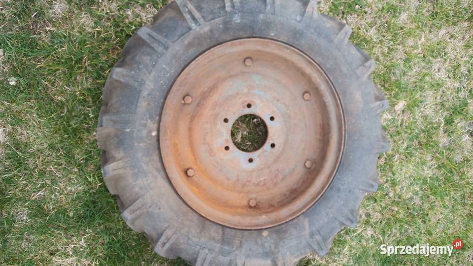 Dzik 21 felgi 16 łódzkie Grabów