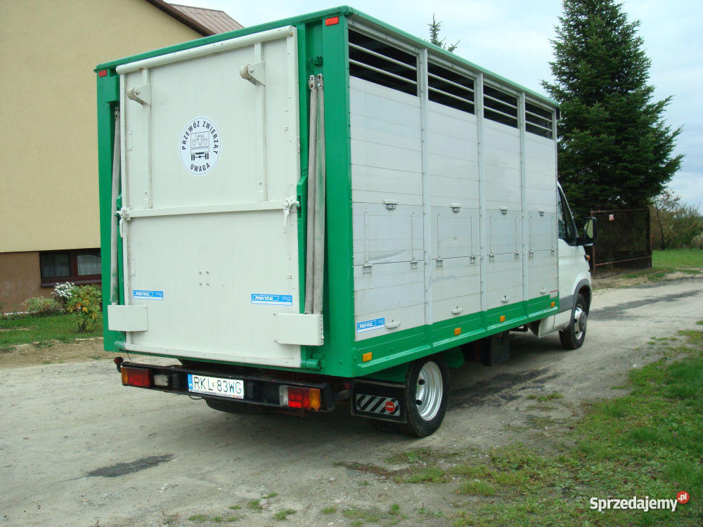 IVECO 35C11 VIEHTRANSPORTER DO PRZEWOZU ZWIERZĄT Kolbuszowa