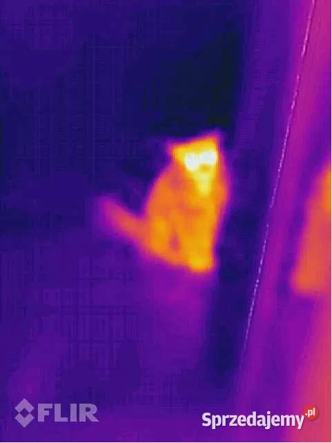 Wynajem CAT S60 Kamera termowizyjna Termowizja Bydgoszcz