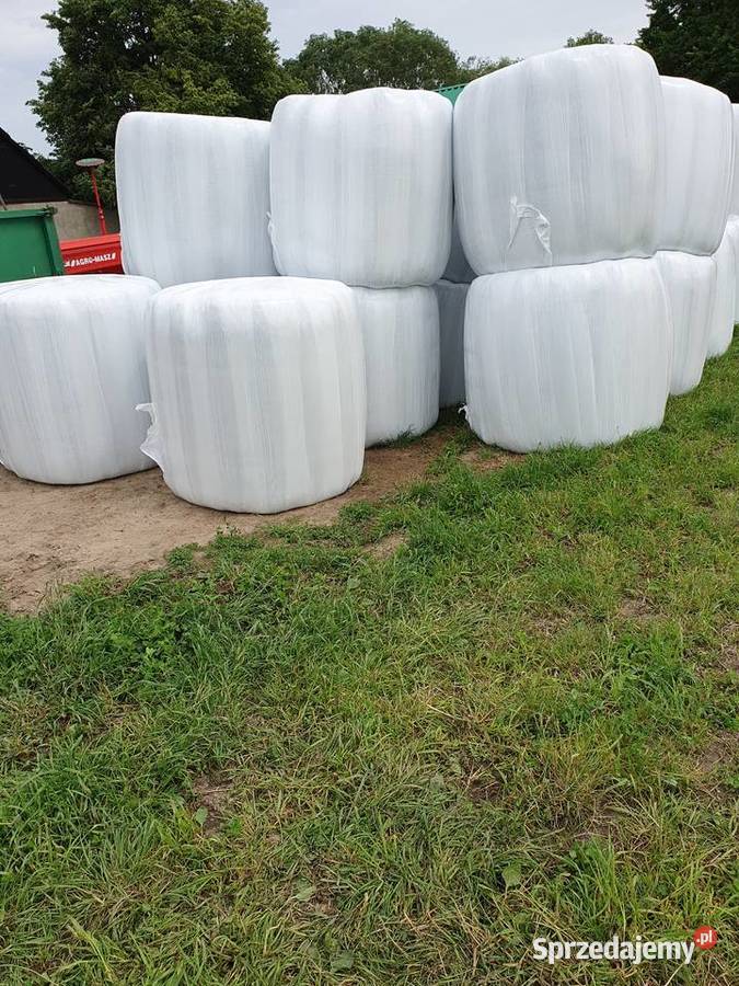 Sianokiszonka Kikół