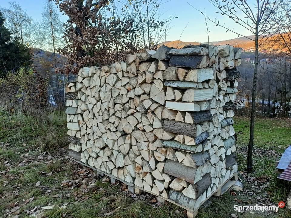 Drzewo opałowe osika Lubień