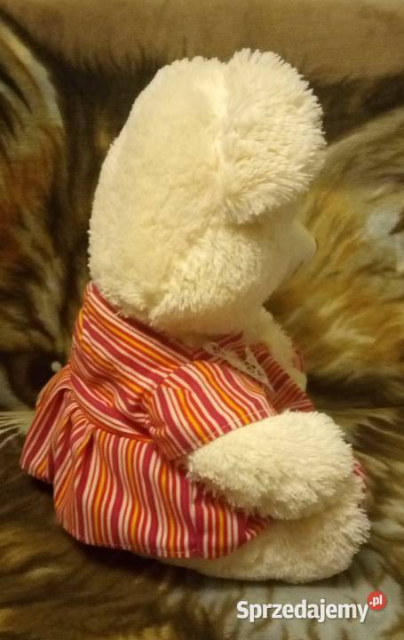 Miś pluszowy Bydgoszcz