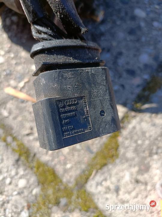 Pompa Wtryskowa 2464463336 19 TDI Audi Vw seat Ruda Śląska