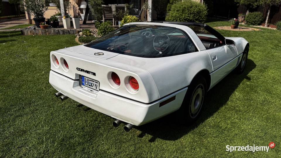 Chevrolet Corvette C4 Targa Zamiana Adamów