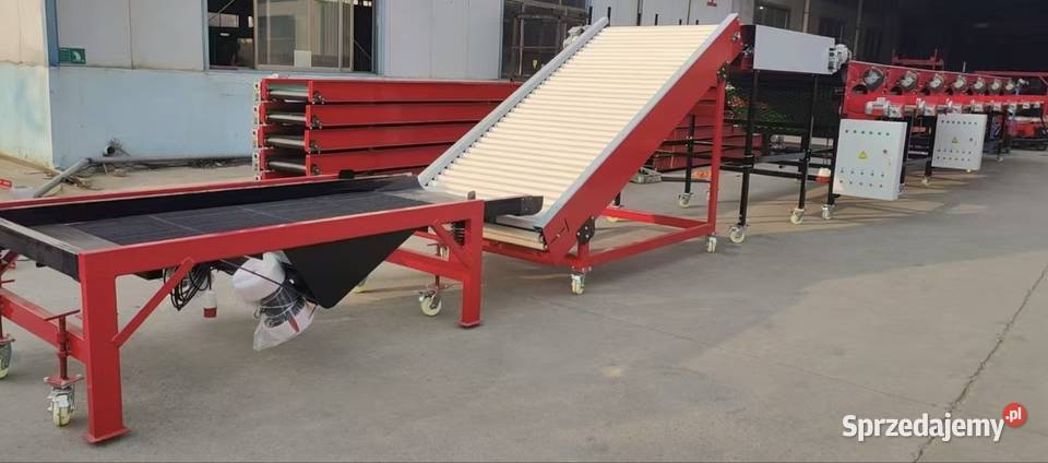 Automatyczny Sortownik do czosnku Warszawa sprzedam