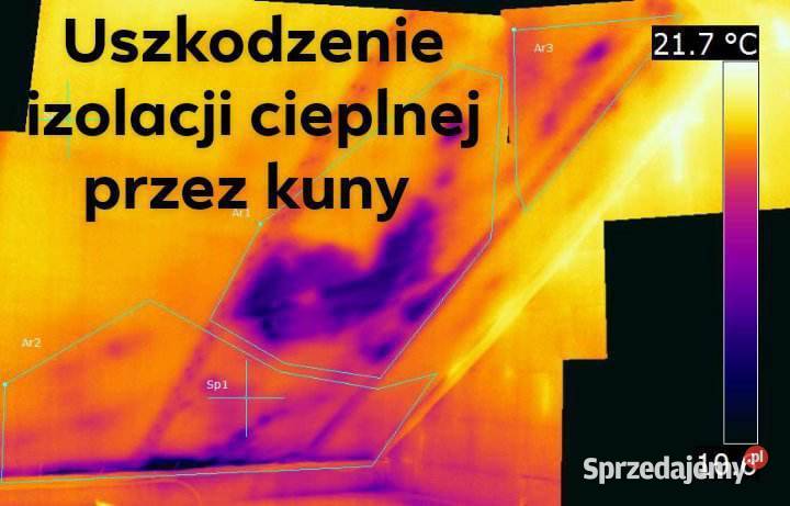 Termowizja usługi kamerą termowizyjną Lublin