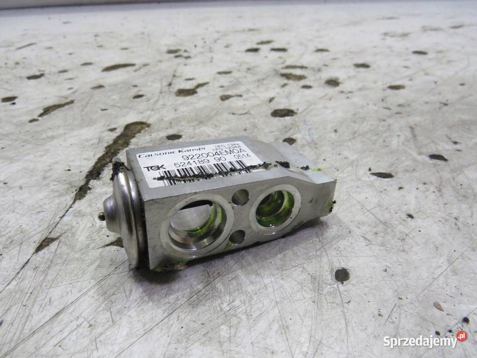 ZAWÓR ROZPRĘŻNY QASHQAI J11 922004EM0A