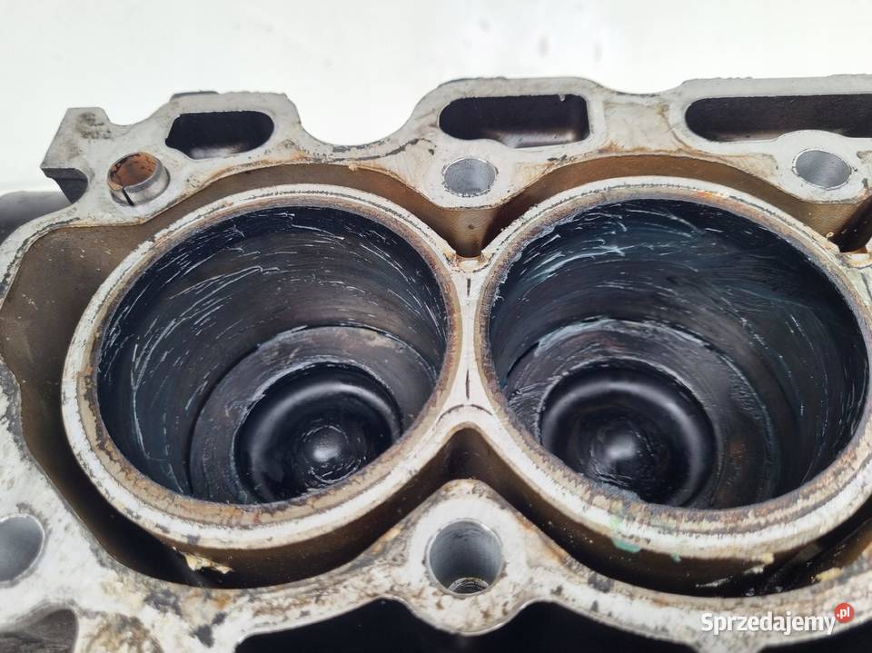 DÓŁ SILNIKA BLOK Citroen Berlingo Peugeot osobowe Janów