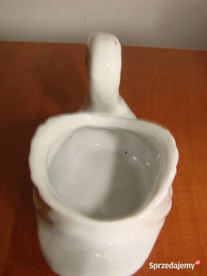 mały Łabędź Pruszcz Gdański