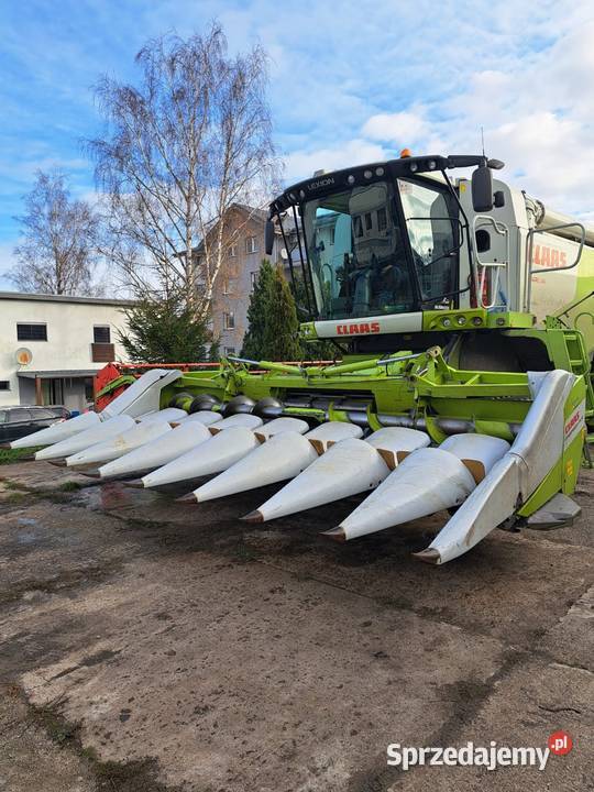Sprzedam przystawkę do kukurydzy Claas conspeed Oława