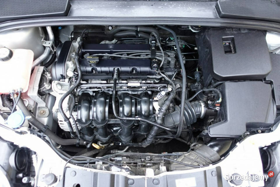 Ford Focus 16 Opłacony Prosty Silnik GWARANCJA lakier metallic Płońsk sprzedam