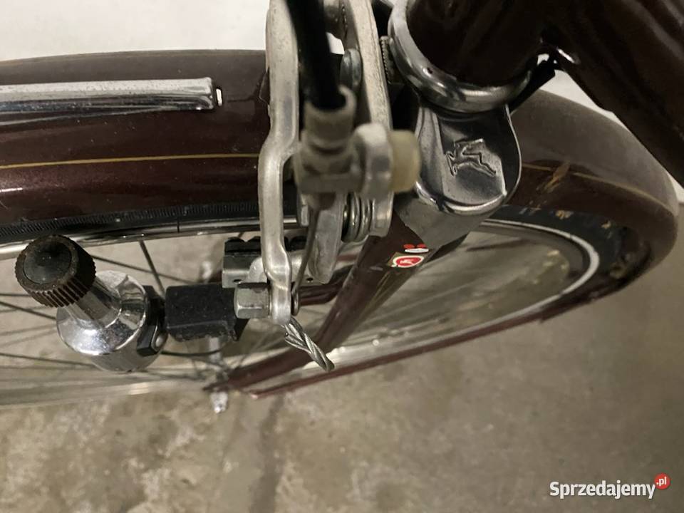 Rower męski Gazelle 15 Pozostałe