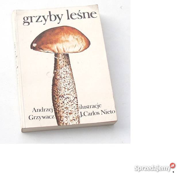 Grzyby leśne Andrzej Grzywacz atlas fa Poradniki, albumy i reportaże Szczecin