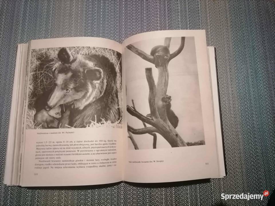 Ssaki Zwierzęta Świata 1988