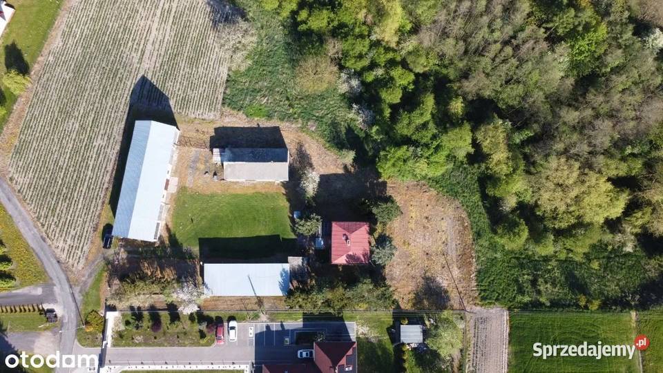 Dom z budynkami gospodarczymi na dużej działce Łęczna
