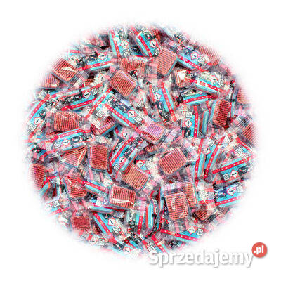 vidaXL Tabletki do zmywarki 12w1 1000 18 Warszawa