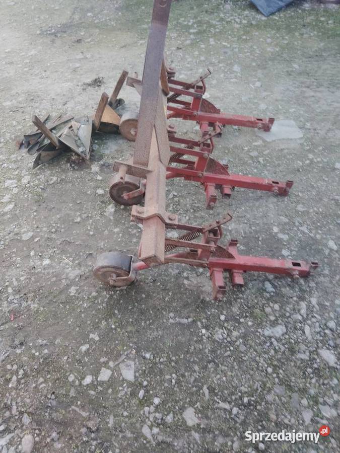 Sprzedam redełka Tuszyn