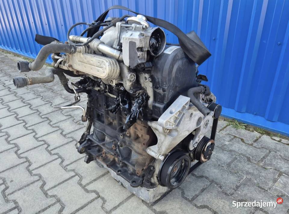 SILNIK 19 TDI BKC BXE 105 GOLF V ALTEA LEON II osobowe świętokrzyskie Działoszyce